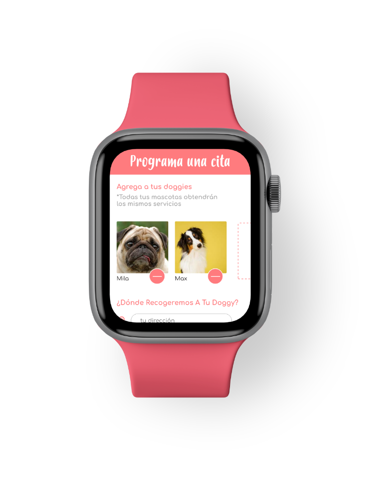 Apple Watch Holiday Pets